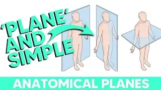👉 &ldquo;Planes of the Body Explained | Basic Anatomy for Medical & Paramedical Students&rdquo;