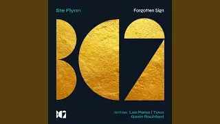 Forgotten Sign (Gavin Rochford Remix)