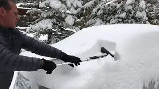 SnoShark Snow & Ice Removal
