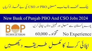 Bank of Punjab PBO And CSO Jobs 2024- New Career Opportunity In Pakistan- How to Apply