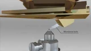 ZEISS MERLIN 3View and SIGMA VP 3View - SBF-SEM/SBEM Workflow Animation
