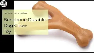 Benebone Durable Dog Chew Toy Pros & Cons Review
