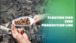 【Live Demo】Floating Fish Feed Production Line - See How Floating Feed is Made from Start to Finish