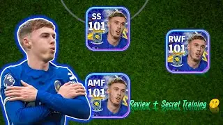 Карта номинации Коула Палмера &ndash; обзор AMF, RWF и SS.
