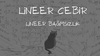 Lineer Cebir - Lineer Bağımsızlık