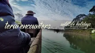 Terai Encounters || CROSS BORDER SOLO DRIVE || Kolkata to Nepal || Chitwan National Park