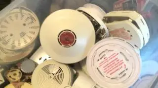 SD Collection P2