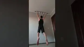 Тридцать девятый день. 2824/15000 подтягивания
