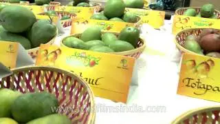 Mango festival, Pitampura