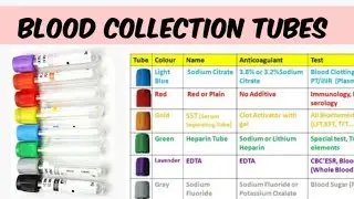 Type of Blood Collection Tube and Use