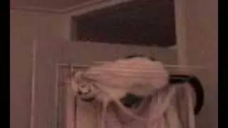 Laundrycat