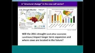 Economic Considerations in Beef Cattle Production