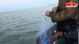 San ca ho Dau Tieng  Tap 1   Duoi ca