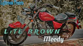 Lightroom preset | Light Brown Moody preset | Editing Made Easy  | Photography |  Camera Settings |