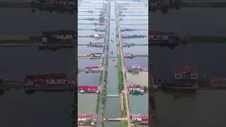 Water Village Of China #china #fact #Shorts