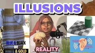നിങ്ങൾ “REALITY” കണ്ടിട്ടുണ്ടോ? ILLUSIONS VS REALITY EXPLAINED| ILLUSIONS, HALLUCINATIONS, DELUSIONS