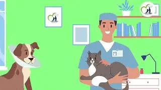 The animal welfare association aims to (Rescue - Feed - Shelter - Adopt - Care for)