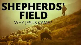 Bible Journeys #13: Shepherds' Field - 