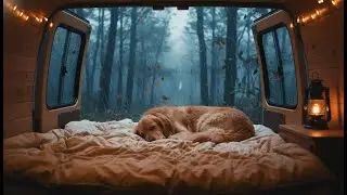 Solo Female Van Life: Stealth Camping in a Violent Rain Storm with My Dog | Ultra Cozy ASMR Night