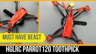 HGLRC Parrot 120 Toothpick Full Review // In Must Have ToothPick List