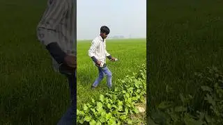 Ye sabse alag hai 😂😂 #youtubeshorts #comedy #funnyvideos #funny #comedyvideos #khet #patidar #newfun