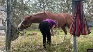 Slowvember Exercise 2 - Slow Hoof Picking with Flicker