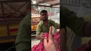 🔥 50KG Dragon Fruit for Dead Cheap in Hyderabad! | Unbelievable Price 🍉