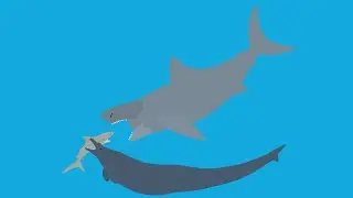 basilosaurus vs megalodon vs bill shark