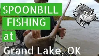 Spoonbill fishing - catching paddlefish at Grand Lake OK