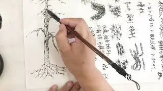 松树详细的分解画法，松皮如鳞松叶如针，掌握这两点轻松画松树