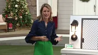 Toucan Wi-Fi Outdoor Camera w/ 2-Way Talk & Smart Socket on QVC