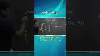 👌 Amino Acids |Essential Amino Acids|Non-Essential Amino Acids #biologyshorts @VedPrepBiologyAcademy