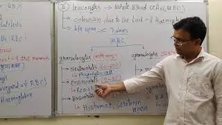 Body fluids and Circulation L-2 ||  Formed Elements , Based on NCERT
