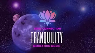 Soul Connection - Tranquility | Meditation Music | Thoughtless Mind Series