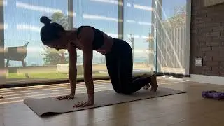 Bear Pose Knee Taps