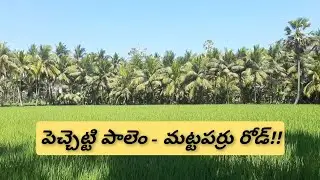 Petchetti Palem To Mattaparru Road | తెలుగులో