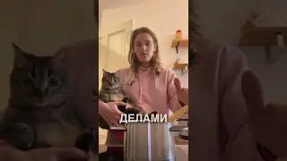 Cooking with the cat 🥰 #stories #history #news #news #shorts