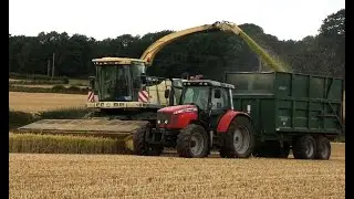 Krone Wholecrop Harvest