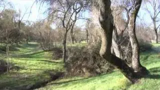 Básicos de Madrid: Casa de Campo