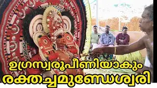 ഉഗ്രസ്വരൂപീണിയാകും അമ്മ മാതാവ് രക്തച്ചമുണ്ഡിയമ്മ #chamundiyamma #chamunditheyyam #@Kavumpathiyum 