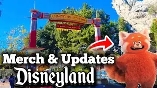 NEW Disneyland Merch & Park Updates, Dooney & Bourke, Magic Key & Lunar New Year