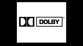 Dolby Logo 1995-2007 Detailed Simplified Cartoon Version Frame Horizontal Metallic
