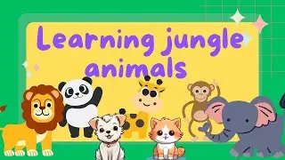 Learning jungle animals | jungle adventure | wild animals | animals for toddlers and preschoolers