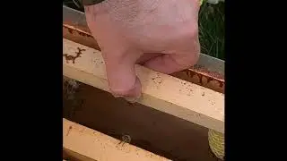 Adding A Box And Fix Cross Comb