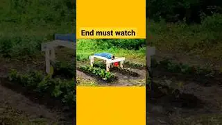 Amazing Plant Hacks And Best Garden Gadgets _ can i need for crafting _ amazing hacks #shorts #diy