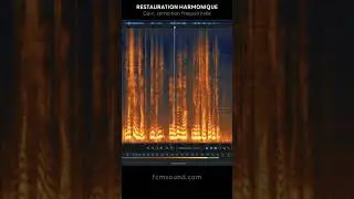 RESTAURATION AUDIO avec RX10 IZOTOPE !
