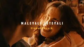 Maleyali Joteyali ( Slowed + Reverb ) | Soul Vibez