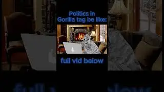 Politics Explained in Gorilla Tag
