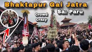 Bhaktapur gai jatra 2082 Ghintang ghisi twak 