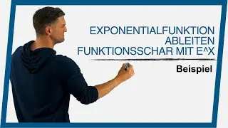 Exponentialfunktion ableiten, Beispiel Funktionsschar mit e^x | Mathe by Daniel Jung